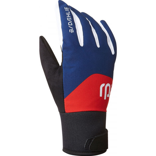 Daehlie GLOVE CLASSIC 2.0 JR  L - Dětské rukavice na běžky Daehlie