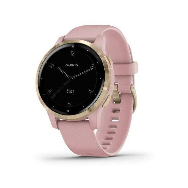 Garmin VIVOACTIVE 4S Multisportovní hodinky