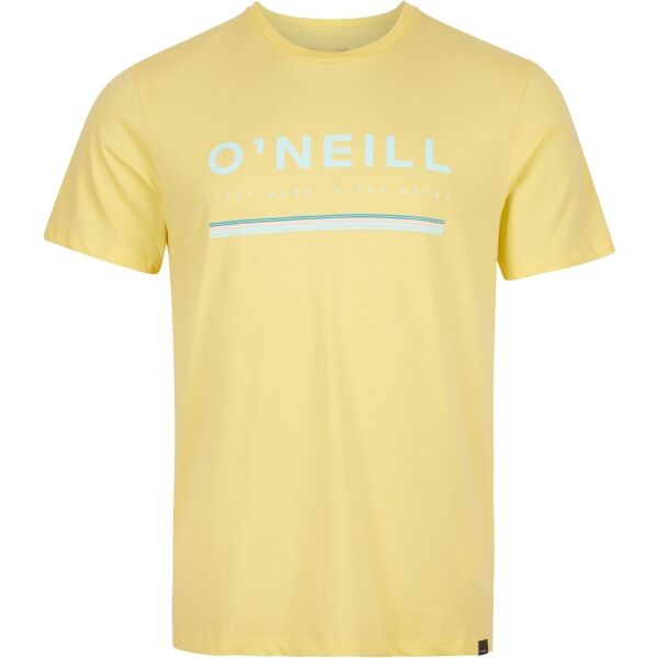 O'Neill ARROWHEAD T-SHIRT Pánské tričko