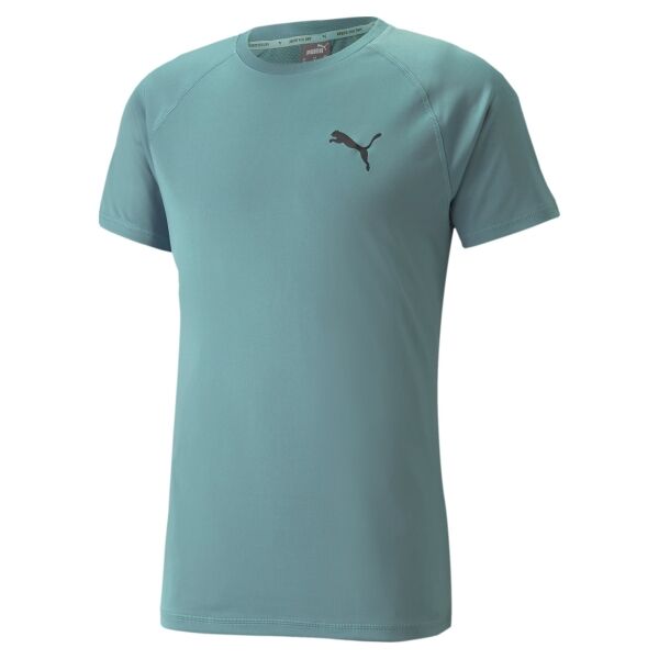 Puma RTG TEE Pánské sportovní triko