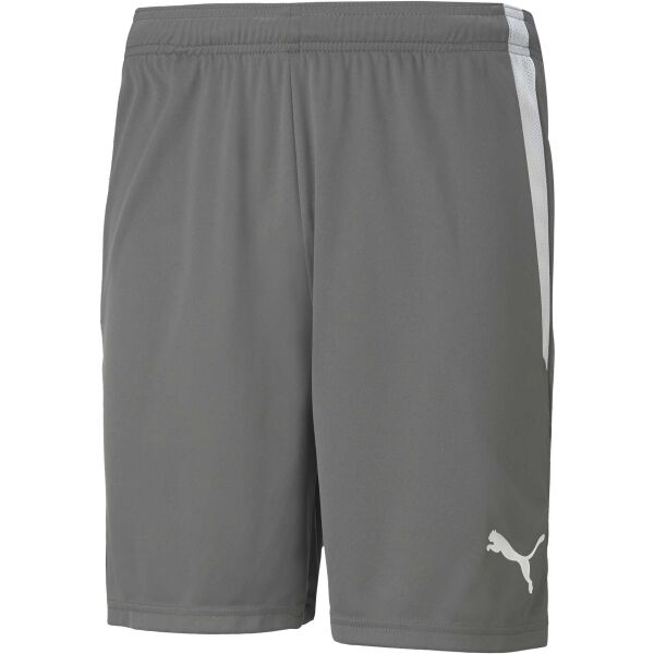 Puma TEAM LIGA SHORTS Pánské šortky