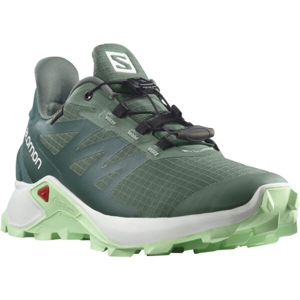 Salomon SUPERCROSS 3 GTX W Dámská trailová obuv