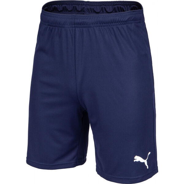 Puma TEAM GOAL 23 KNIT SHORTS Pánské kraťasy