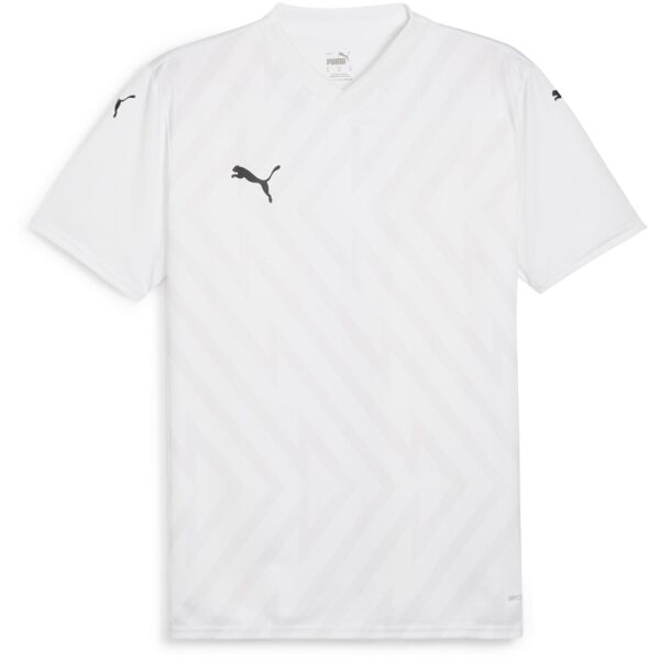 Puma TEAMGLORY JERSEY Pánský fotbalový dres