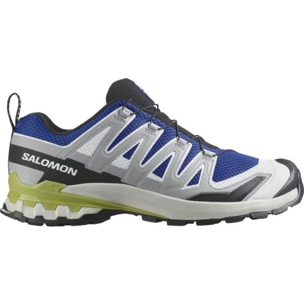 Salomon XA PRO 3D V9 XA PRO 3D V9